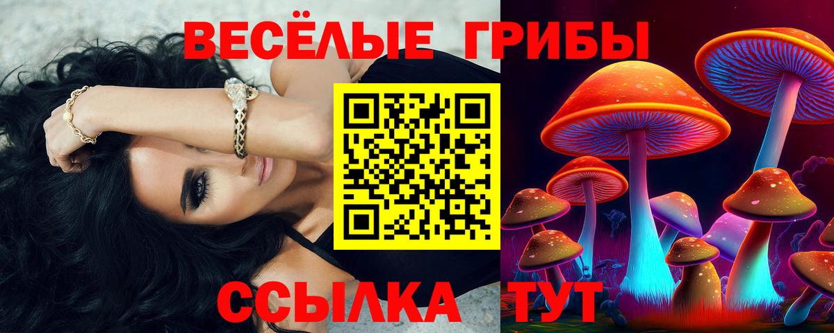Галлюциногенные грибы прущие грибы  Вход с VPN  Георгиевск 